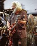 Chicago 1995 Backstage Passes / Ramrod Collection! - Final Grateful Dead Shows!