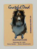 GD Road Crew Backstage Passes!! - Ramrod's Collection!!